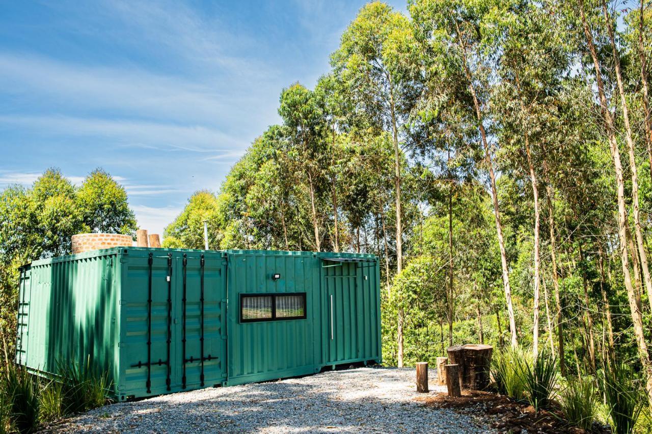 Casa Container Figo Em Meio A Natureza Na Serra Gaucha 弗洛里斯-达库尼亚 外观 照片